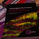 découvrez les différentes approches et méthodes essentielles pour analyser, comprendre et résoudre divers problèmes dans plusieurs domaines d'études et pratiques.
