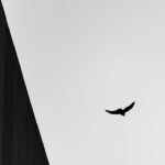 découvrez l'univers du femdom, une dynamique de pouvoir où la femme prend le contrôle avec élégance et confiance. explorez des histoires, conseils et ressources pour mieux comprendre et apprécier cette pratique unique.