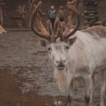 découvrez la culture furry, un univers passionnant où les amateurs de personnages anthropomorphes explorent la créativité, l'expression de soi et la communauté.