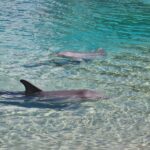 explorez la complexité et la richesse des relations humaines, essentielles à notre bien-être et à notre développement personnel.