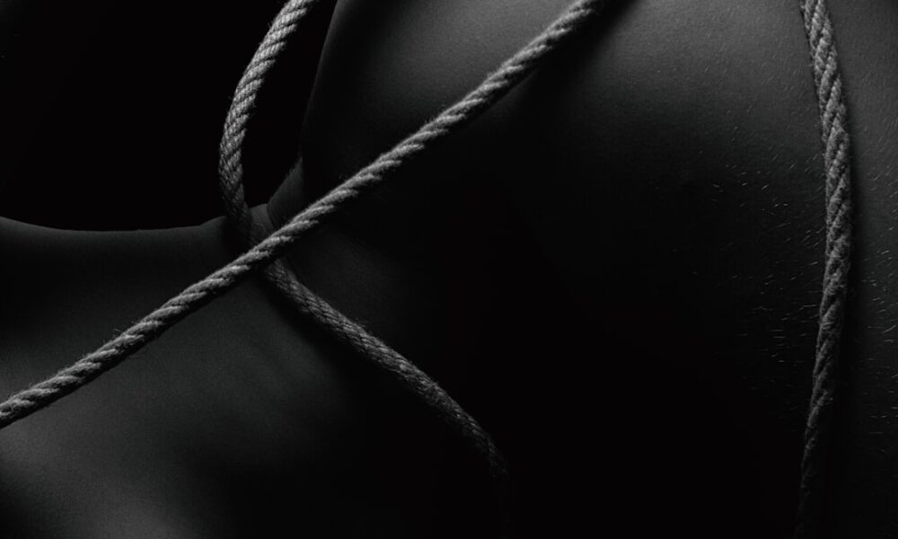 explorez les dynamiques maître-esclave, un concept clé dans les relations de pouvoir et d'autorité, en comprenant ses implications historiques et contemporaines.