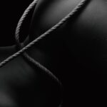 explorez les dynamiques maître-esclave, un concept clé dans les relations de pouvoir et d'autorité, en comprenant ses implications historiques et contemporaines.